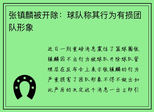 张镇麟被开除：球队称其行为有损团队形象
